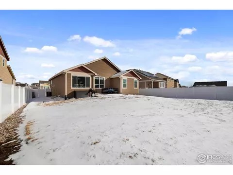 907 Barasingha St, Severance, CO 80550 photo 19