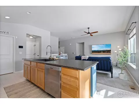 907 Barasingha St, Severance, CO 80550 photo 3