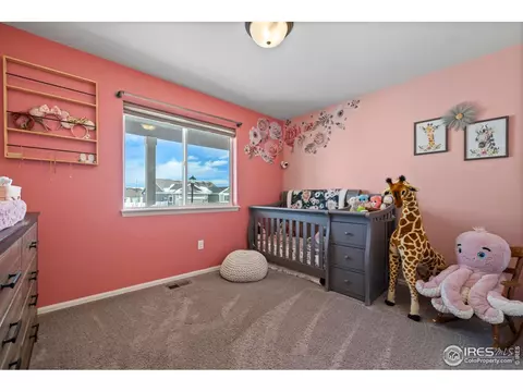 907 Barasingha St, Severance, CO 80550 photo 13