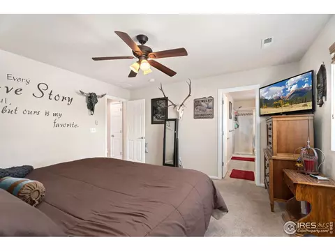 660 Moonglow Dr, Windsor, CO 80550 photo 11