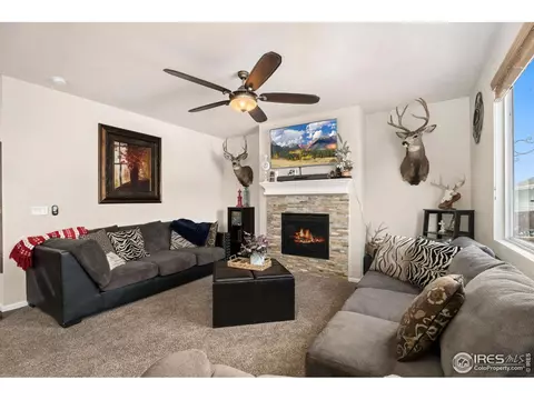 660 Moonglow Dr, Windsor, CO 80550 photo 4