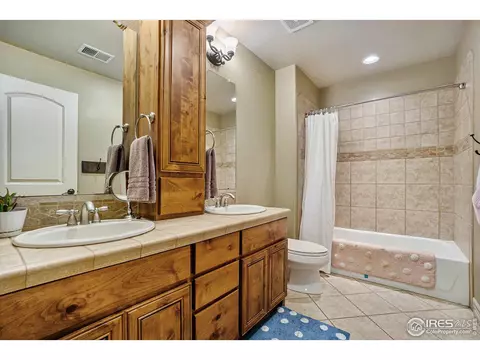 6529 Aberdour Cir, Windsor, CO 80550 photo 18