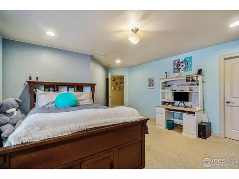 6529 Aberdour Cir, Windsor, CO 80550 photo 26