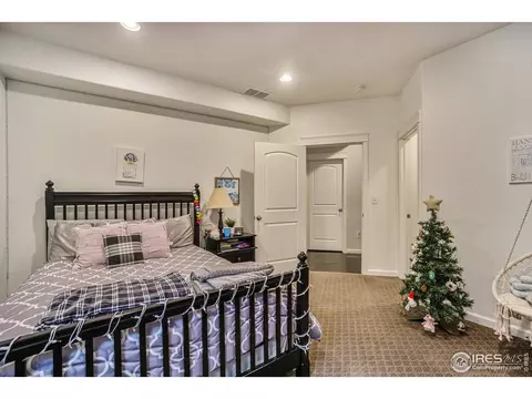 6529 Aberdour Cir, Windsor, CO 80550 photo 29