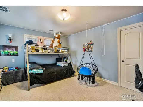 6529 Aberdour Cir, Windsor, CO 80550 photo 27
