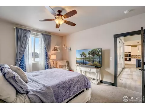 4520 Longmead Dr, Windsor, CO 80550 photo 21