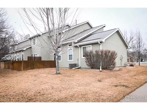 818 2nd St, Windsor, CO 80550 photo 20