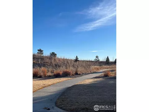 2130 Grain Bin Dr, Windsor, CO 80550 photo 29
