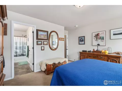 2130 Grain Bin Dr, Windsor, CO 80550 photo 15