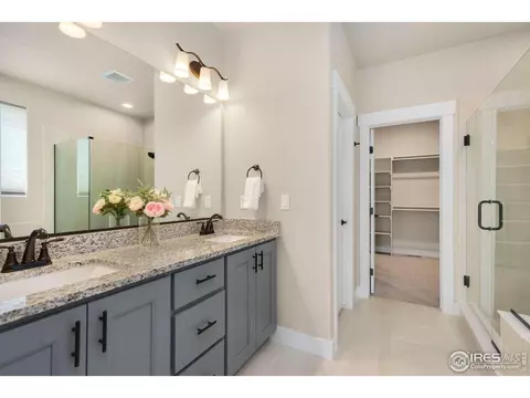 5253 Cloud Dance Dr, Timnath, CO 80547 photo 19