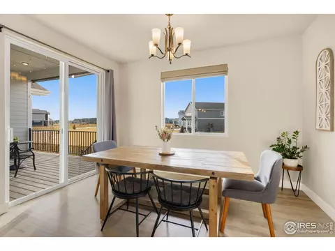 5253 Cloud Dance Dr, Timnath, CO 80547 photo 14