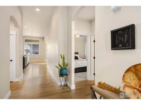 5253 Cloud Dance Dr, Timnath, CO 80547 photo 3