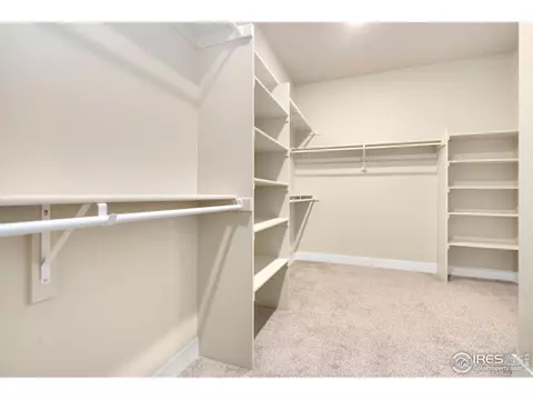 5253 Cloud Dance Dr, Timnath, CO 80547 photo 21