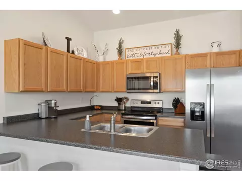 717 Mt Evans Ave, Severance, CO 80550 photo 10