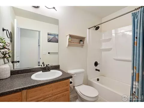 717 Mt Evans Ave, Severance, CO 80550 photo 16