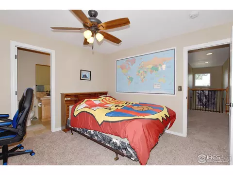 8136 Lighthouse Ln, Windsor, CO 80528 photo 24