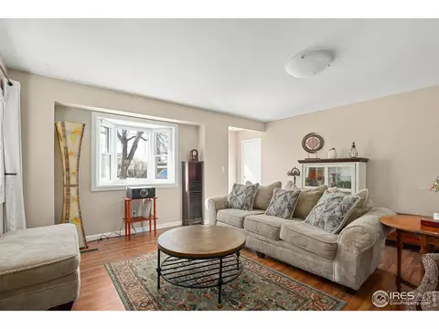 4 Orchid Ct, Windsor, CO 80550 photo 8