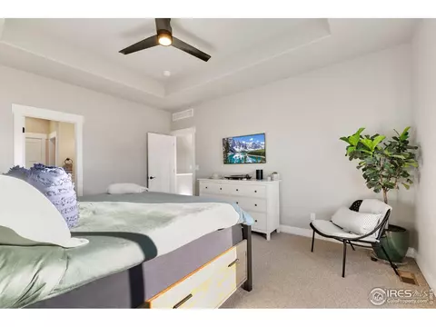 5129 Long Dr, Timnath, CO 80547 photo 22