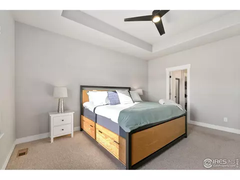 5129 Long Dr, Timnath, CO 80547 photo 23
