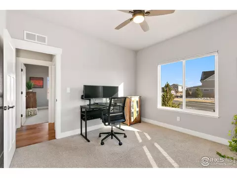 5129 Long Dr, Timnath, CO 80547 photo 31