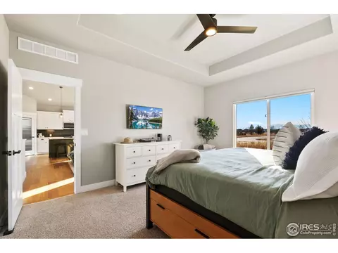 5129 Long Dr, Timnath, CO 80547 photo 21