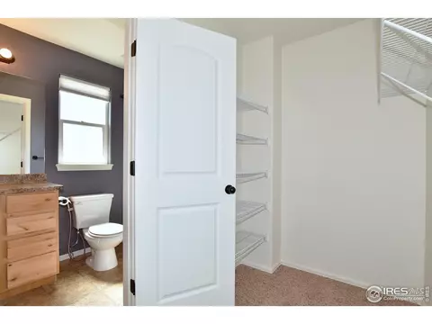408 Stonebrook Dr, Windsor, CO 80550 photo 21