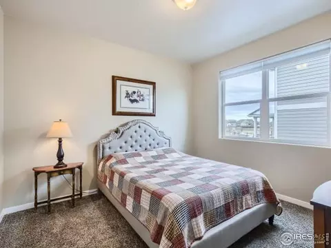 908 Barn Yard Dr, Windsor, CO 80550 photo 17