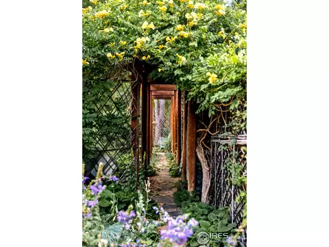 7845 Baseline Rd, Boulder, CO 80303 photo 32