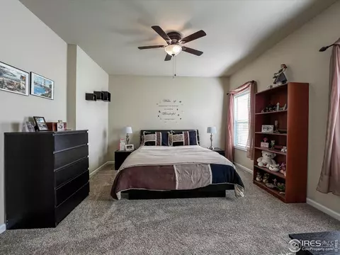 6281 Cattail Grn, Frederick, CO 80530 photo 19