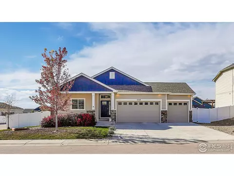 5524 Chantry Dr, Windsor, CO 80550 photo 34
