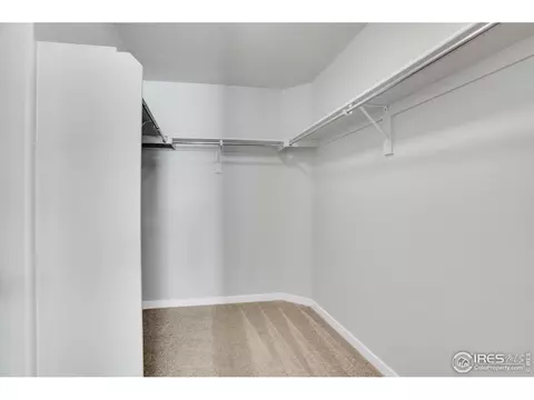 5524 Chantry Dr, Windsor, CO 80550 photo 19