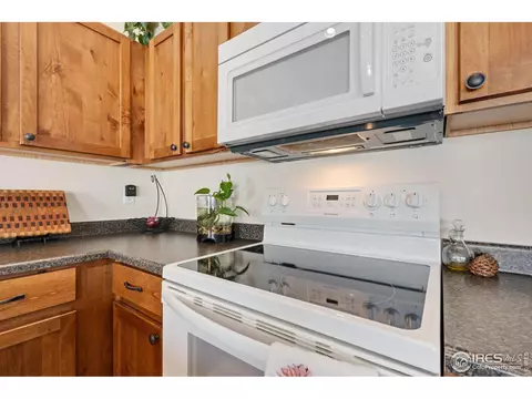 806 Sambar Dr, Severance, CO 80550 photo 7