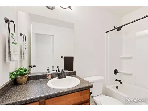 806 Sambar Dr, Severance, CO 80550 photo 13