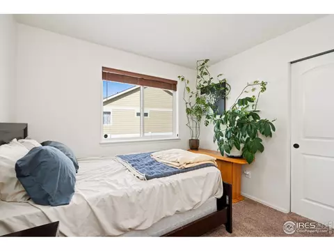 806 Sambar Dr, Severance, CO 80550 photo 16