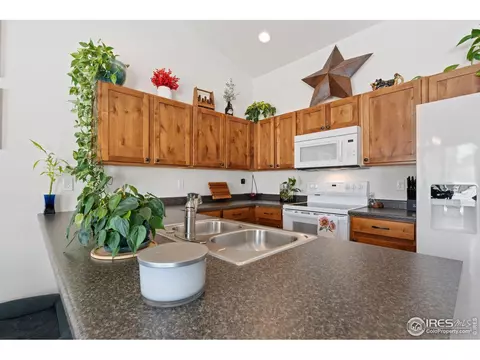 806 Sambar Dr, Severance, CO 80550 photo 8