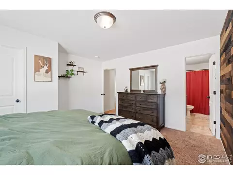 806 Sambar Dr, Severance, CO 80550 photo 11