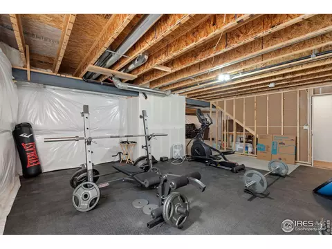806 Sambar Dr, Severance, CO 80550 photo 17