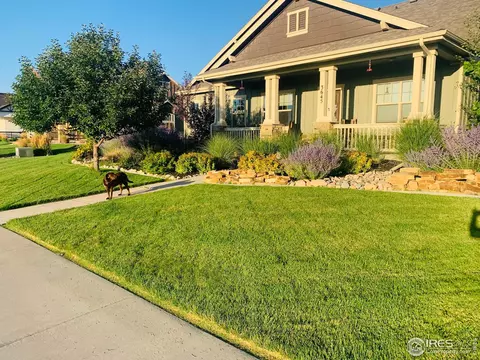 3645 Main St, Timnath, CO 80547 photo 34