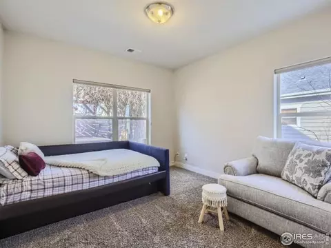 3645 Main St, Timnath, CO 80547 photo 19