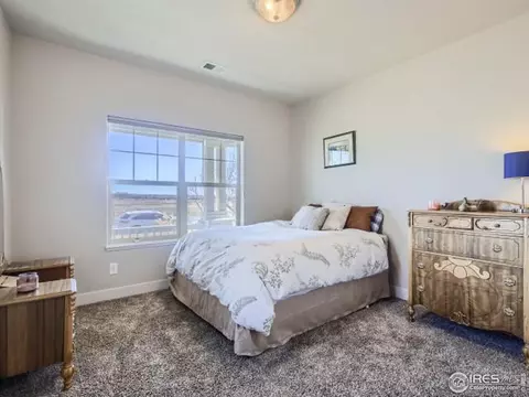 3645 Main St, Timnath, CO 80547 photo 18