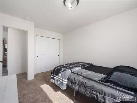 1016 Axis Dr, Severance, CO 80550 photo 15