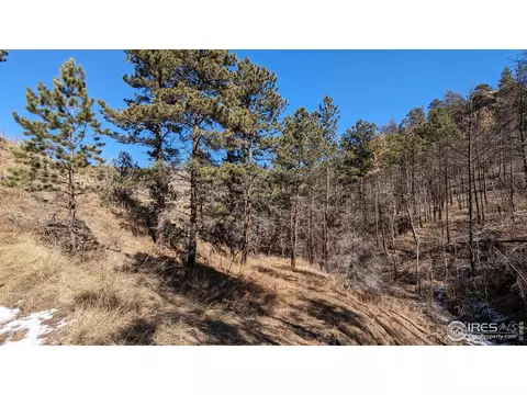 1320 Willow Patch Ln, Bellvue, CO 80512 photo 34
