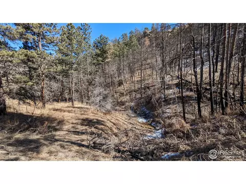 1320 Willow Patch Ln, Bellvue, CO 80512 photo 33