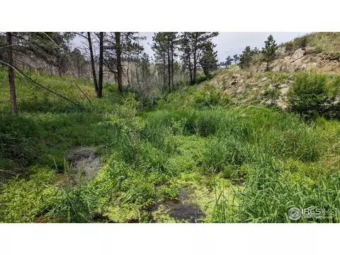 1320 Willow Patch Ln, Bellvue, CO 80512 photo 8