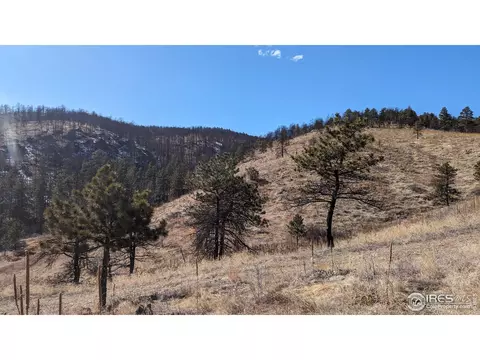 1320 Willow Patch Ln, Bellvue, CO 80512 photo 24