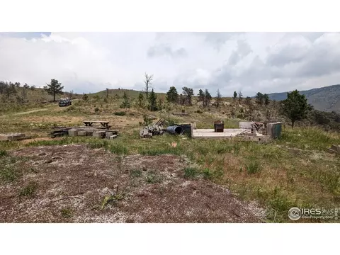 1320 Willow Patch Ln, Bellvue, CO 80512 photo 15