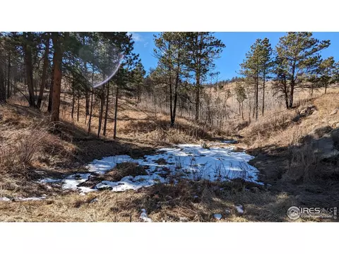 1320 Willow Patch Ln, Bellvue, CO 80512 photo 36