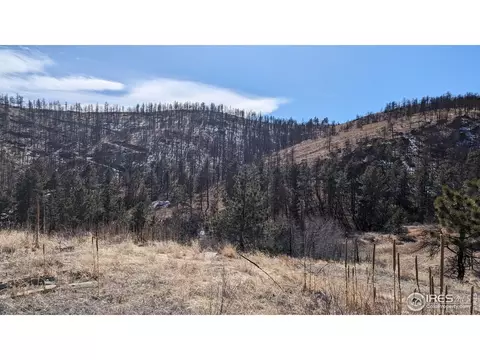 1320 Willow Patch Ln, Bellvue, CO 80512 photo 25