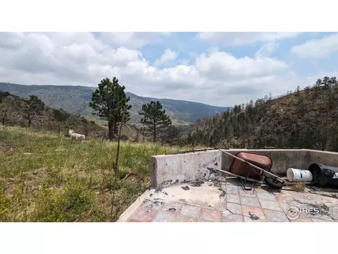 1320 Willow Patch Ln, Bellvue, CO 80512 photo 5