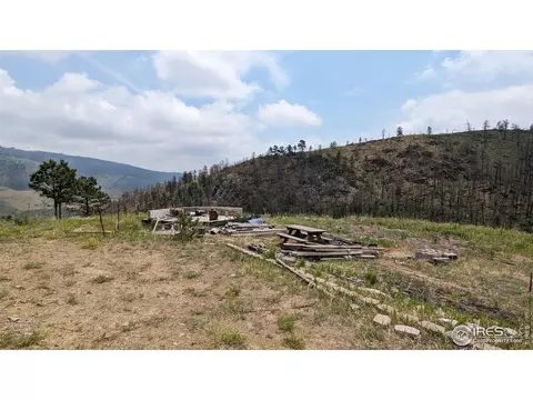 1320 Willow Patch Ln, Bellvue, CO 80512 photo 14
